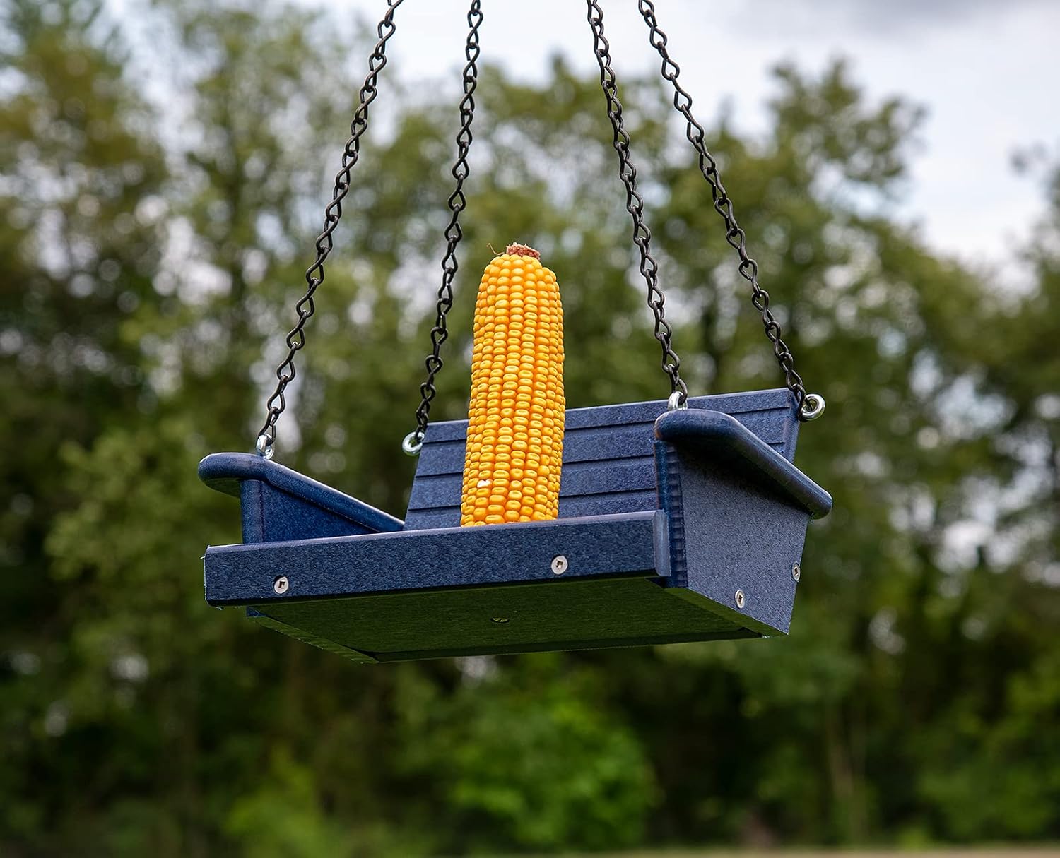 Poly Lumber Squirrel Swing Corn Cob Feeder - Squirrel Feeder, Squirrel Corn Feeder Chair - Cute Swing Feeder for Squirrels - Fill with Corn and Hang (Blue)