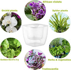 12-Pack Clear Self Watering Planters for Indoor Plants 7" Large African Violet Plant Pots Plastic Wick Flower Pots with Water Injection Hole, Orchid Plant Pot Set, Clear