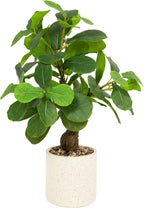 17.5 inch artificial fiddle leaf fig tree in, main product view