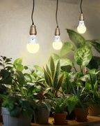 A19 11W LED Grow Bulbs E26 Base Full Spectrum Plant Light Bulb for Indoor | 3 Pack 100W Equivalent Plant Lights for Indoor Growing, Flowers, Greenhouse, Seed Starting