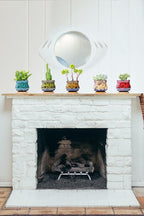 Cute Ceramic Succulent Garden Pots, Planter with Drainage and Attached Saucer, Set of 5 -Plants Not Included (Fambe)