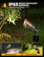 COLOER 5W 12V Brass Outdoor Landscape Spot Light with Bulb(4Pack) | Solid Brass Construction,12V Low Voltage,5W 2700K Warm White,IP65 waterproof,Replaceable MR16 Bulb,Small Size,Adjustable head