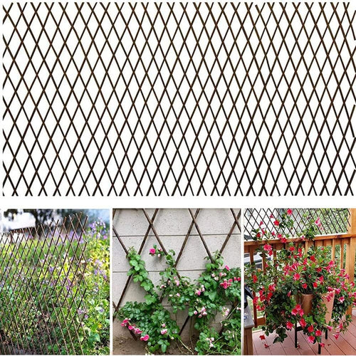 willow expandable lattices fence，garden fence trellis for climbing, main product view