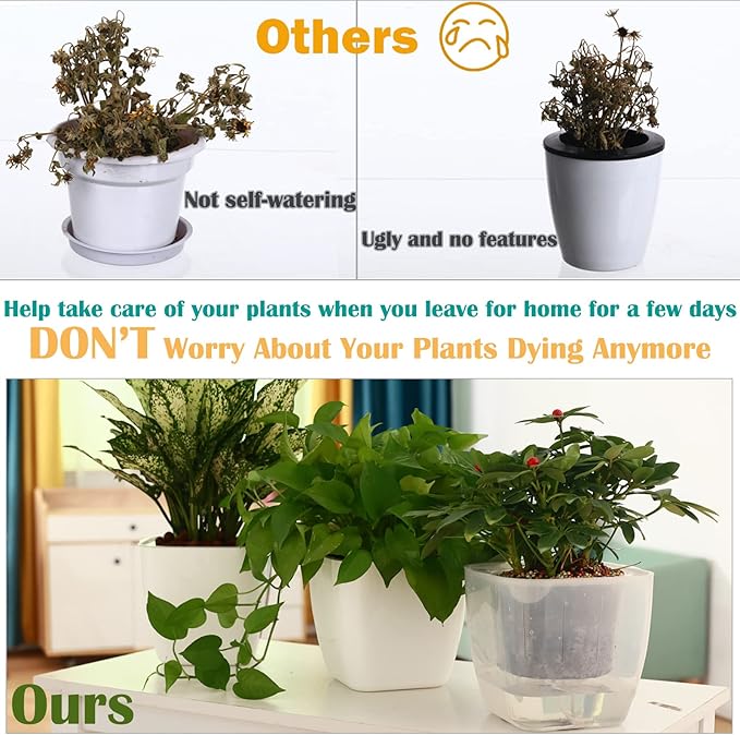 6-Pack 7 Inches Clear Self Watering Planters for Indoor Plants Large African Violet Plant Pots Plastic Wick Flower Pots with Water Injection Hole, Orchid Plant Pot Set, Clear