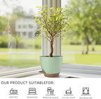 Plant Pots 8/7.5/7/6.5/6 Inch Self Watering Pots,5 Pack Planters with Drainage Holes and Saucers,Plastic Flower Pots,Nursery Planters for Indoor Outdoor Plants (Green)