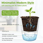 Planterhoma 8 Pack Self Watering Pots for Indoor Plants, 6 Inch Plant Pot Plastic Self Watering Planter for Orchid, African Violet, Small Clear Flower Pots with Drainage Holes and Wicking Rope, White