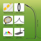 Desktop Plant Grow Light,12w Growing Lamps High Ppfd,Full Spectrum Desk Growth Light with Automatic Timer,4 Dimmable Levels（Black）