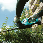 Makita MOLAR BEAR