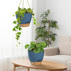 ZMTECH 10 Inch Hanging Planters for Indoor Plants & Outdoor - 2 Pack Self-Watering Hanging Pots with Drainage Holes, Visual Reservoir, Plastic Hanging Baskets Flower Pots with Removable Saucer, Blue