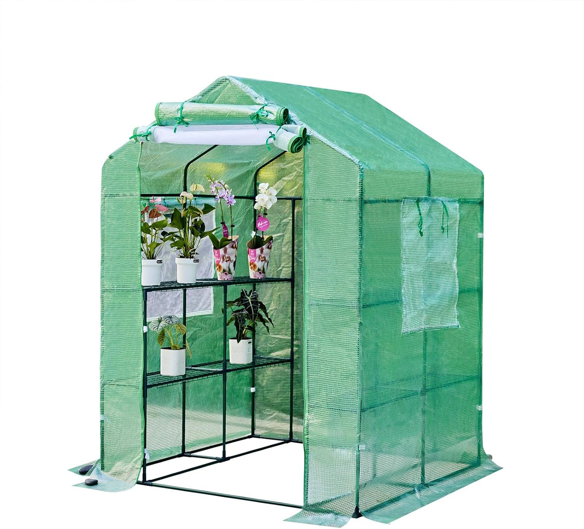 56x55x74 inch greenhouse for outdoors,3 tier 8 shelves, main product view