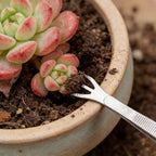 2-in-1 Bonsai Tweezers Set - 8.8" Stainless Steel Long Plant Tweezers with Rake & Spatula Tips, Straight + Curved Tools for Bonsai, Succulents & Terrariums