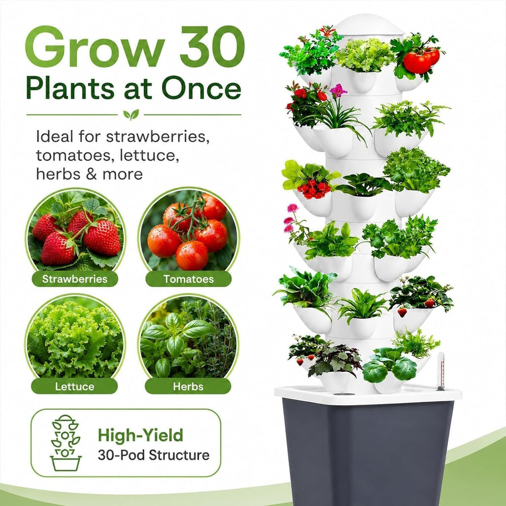 plants propagation station showing dimensions