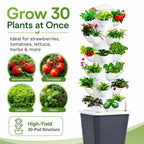 plants propagation station showing dimensions