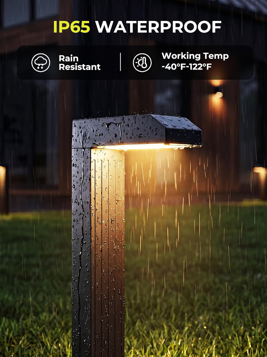 COXSENI Solar Pathway Lights Outdoor,3 Color Temperatures,20 LEDs,6 Pack | Clear Tempered Glass Solar Panel,IP65 Waterproof,Bright Led Landscape Lighting,Yard,Walkway,Driveway,Patio,Lawn,Auto On Off