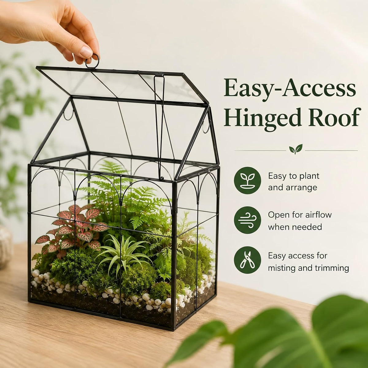 large tall plant greenhouse terrarium glass with lid on a desk or shelf