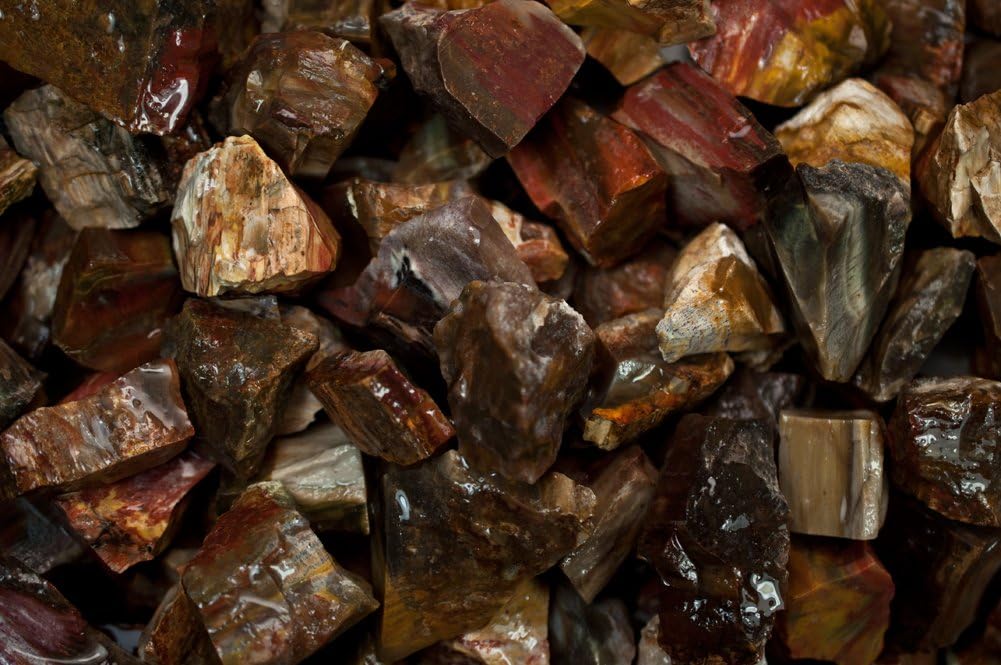 Fantasia Materials: 1 lb Petrified Wood Rough Stones from Madagascar