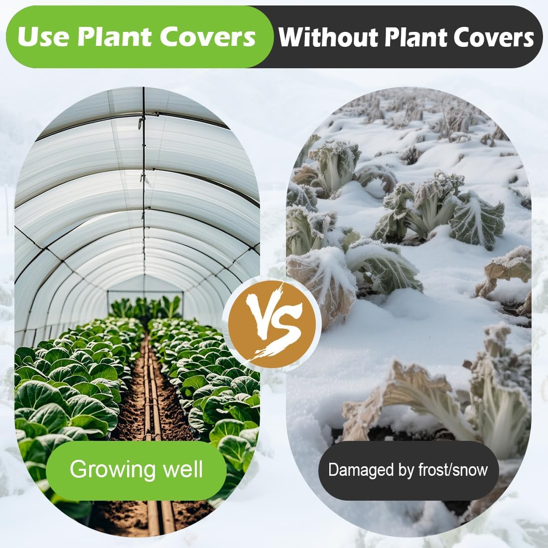 frost blanket for outdoor plants, plant covers freeze, close-up detail