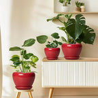 Ceramic Planter for Indoor Plants 8 Inch - Ceramic Plant Pot with Drainage Hole and Saucer, Glaze Round Decorative Modern Flower Pot, Housewarming Gift, Home Room Office Decor, Red