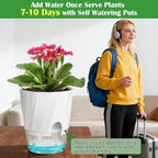 KIMCHOMERSE Self Watering Plant Pots, 6 Inch Plant Pots White, 6 Pack Flowers Pot Indoor Planter Pots with Tray for Spider Plant, Orchid, African Violet