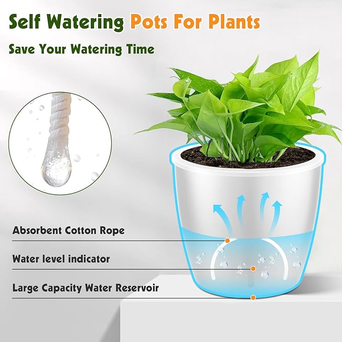 Self Watering Pots for Indoor Plants, 12-Pack 5'' Self Watering Planter with Drainage Holes, Small African Violet Pots with Water Level Indicator, Clear Wick Pot, White/Black