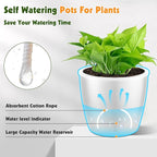 8-Pack 5 Inch Self Watering Pots, Indoor Planter with Indicator, Transparent Wick Pot for Orchids, Small African Violet Pot, for Plants