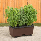 EarthBox 80153 Garden Kit, Organic, Chocolate