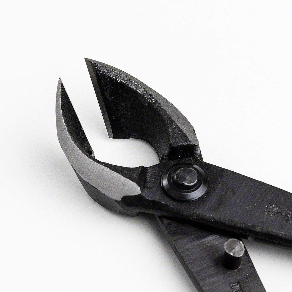 Wazakura Japanese Bonsai Tool Kit Made in Japan - Satsuki Scissors 7inch(180mm) + Concave Branch Cutter 8inch(200mm) Gift Box Set
