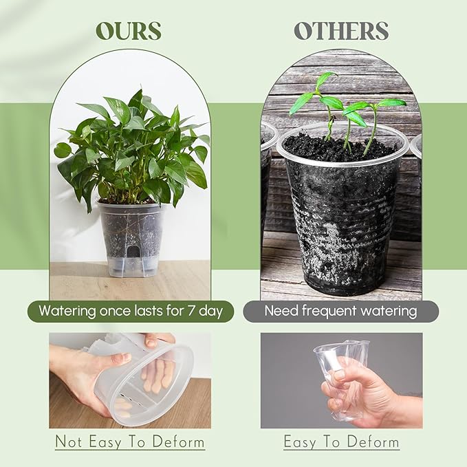 Self Watering Pots for Indoor Plants with Deep Reservoir and High Drainage Holes for Outdoor Plants and Flowers, Bare Root Planter(5.91'',Clear,6 Pcs)