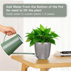 QCQHDU Self Watering Hanging Pots, 2 Pack 5.7 Inch Hanging Planters for Plants Indoor, Outdoor Flower Pots with Drainage Holes and 3 Hooks Chains for Garden Home (Gray)