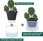 D'vine Dev 6 Inch Design Self Watering Planter for Indoor Plants, Black Terracotta Pot with Cylinder Glass Cup, 37-X-B-3