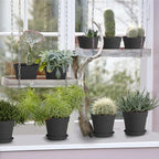 4 inch Small Plant Pots, 28 Pack Plastic Planters with Drainage Holes and Saucers for Flowers Plants, Succulents, Seed Starting Pots, Black