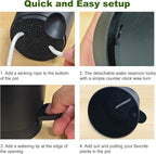 Self Watering Pots, 4 inch Flower Pots with Multi Mesh Drainage Holes, Small Platic Planters for Indoor Outdoor Garden Plants and Flowers (Black, 4")