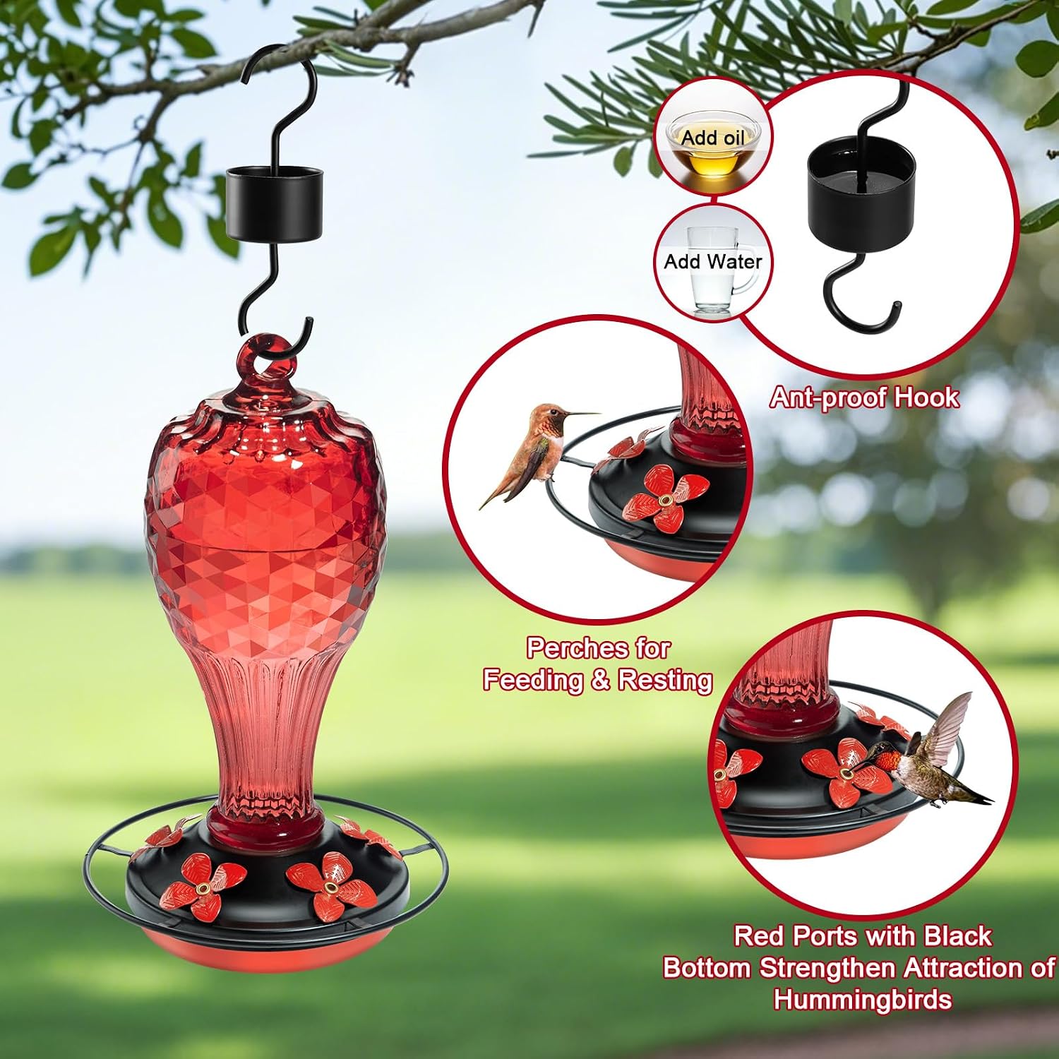 Glass Hummingbird Feeder, Red, 20 OZ | Hand-blown hummingbird feeder for outdoor hanging, reflective fish-scale design, leak-proof seal, ant moat, garden decor