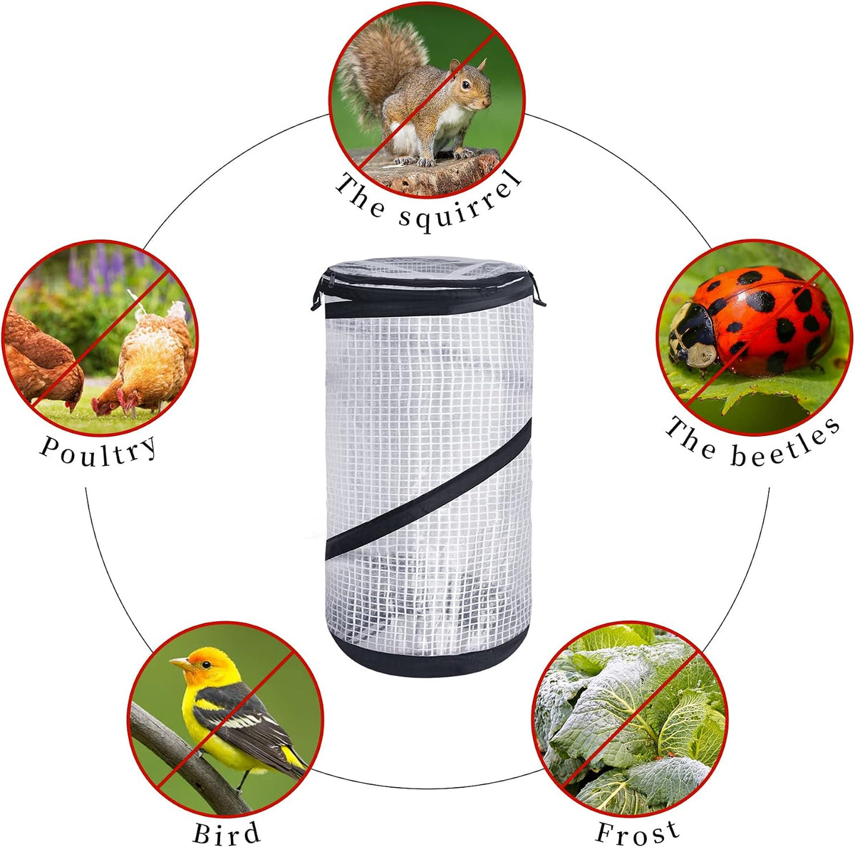 decohs 2 pcs pop up mini greenhouse-23.4x11.6 inch, side view