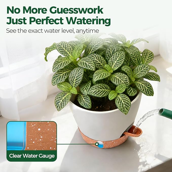 T4U 4 Pack 6 Inch Self Watering Pots - Water Level Indicator & Deep Reservoir, Mess-Free Planter for Busy People, Beginners & Gardeners, Fit Herbs/Pothos/Succulents Plants, Indoor Outdoor Use (White)