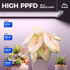 Barrina TX-L84 4FT LED Grow Light, 336W (4 x 84W), 4 Panels Wider Coverage | Pinkish White Full Spectrum, Linkable to 4, High PPFD, Hanging Plant Stand with Grow Light for Indoor Seedling, Timer, 4 Pack
