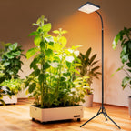 2026 Grow Light with Upgrade Stable Stand, Bright Grow Lights for Indoor Tall Plants, Bonsai Tree, 4/8/12/16/20H Timer, 25 Watt Power Draw, NO Need Adapter, 24"-76" Height Adjustable