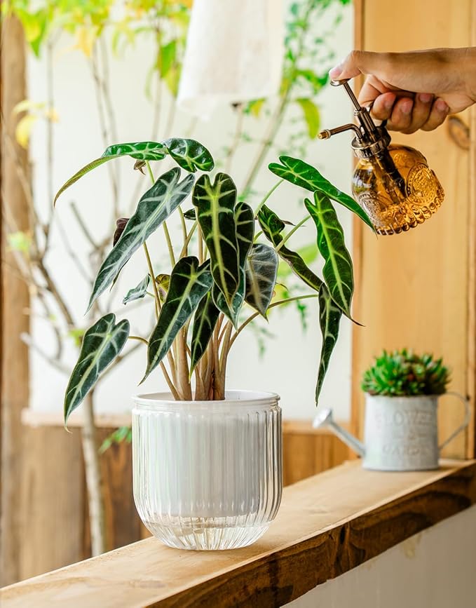 Melphoe Self Watering Pots for Indoor Plants Planter, 6.5/5.3 Inch 2 Pack Planters Self Watering Plant Pots for Flower, Houseplants, Succulent, African Violets and Cactus with Drainage