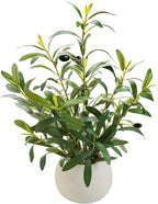 17" artificial olive plant white ceramic planter indoor, main product view