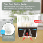 QCQHDU 2 Pack Self Watering Pots, 7.2 Inch Flower Pots with Drainage Holes and Water Filling Port, Garden Planter for Indoor Outdoor Plants (Clear)