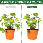 12Packs Plant Support Stakes Half Round Plant Stakes for Indoor Plants, Stackable 3 Tier Garden Flower Support, Plant Cages for Tomato,Monstera, Peony, Hydrangea, Climbing Plants