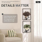 Sisher Plant Stand Indoor Outdoor,Window Plant Shelf Picture Frame Wall Plant Stand Metal Wall Plant Shelf Ease of Assembly Modern Style for Home Decor (Square 3-pack)