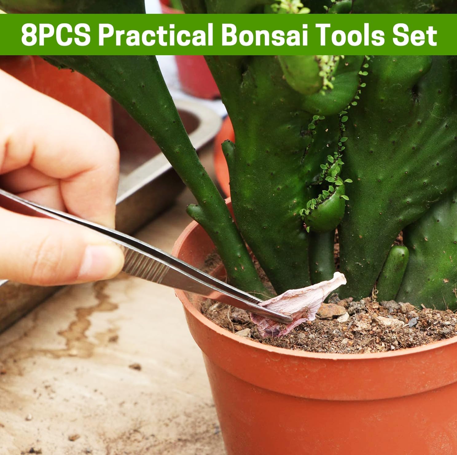 Bonsai Set 8 Pcs, Bonsai Tools Kit, Garden Tools Set | Include Pruner, Fold Scissors, Mini Rake, Bud & Leaf Trimmer Set