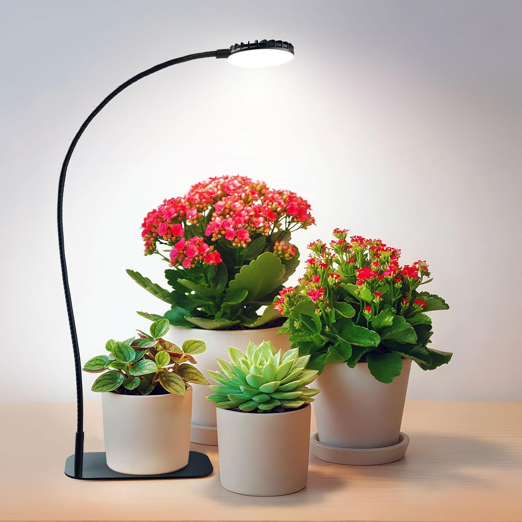 Desktop Plant Grow Light,12w Growing Lamps High Ppfd,Full Spectrum Desk Growth Light with Automatic Timer,4 Dimmable Levels（Black）