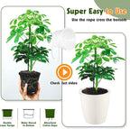 Self Watering Pots for Indoor Plants, 12-Pack 5'' Self Watering Planter with Drainage Holes, Small African Violet Pots with Water Level Indicator, Clear Wick Pot, White/Black