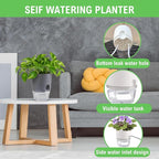 3.2 Inch Self Watering Planters Plastic Planter Pots 5 Pack Wicking Flower Pots Modern Decorative Planter for Small African Violets House Plants,Herbs,Indoor Outdoor Plant (Grey)