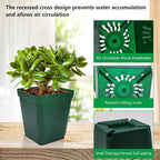 Square Nursery Succulent Pots 4 Inches 60 Pcs Deep Flower Plant Nursery Seedling Grow Pots Plastic with Drainage (Green, 4Inches, 60Pcs)
