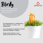 Scheurich Bördy M, Waterreserve Water Dispenser Made of Plastic and Clay Cone, Orange, 20 cm High, 0.22 L Vol.