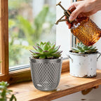QCQHDU 2 Pack Self Watering Pots, 7.2 Inch Flower Pots with Drainage Holes and Water Filling Port, Garden Planter for Indoor Outdoor Plants (Gray)