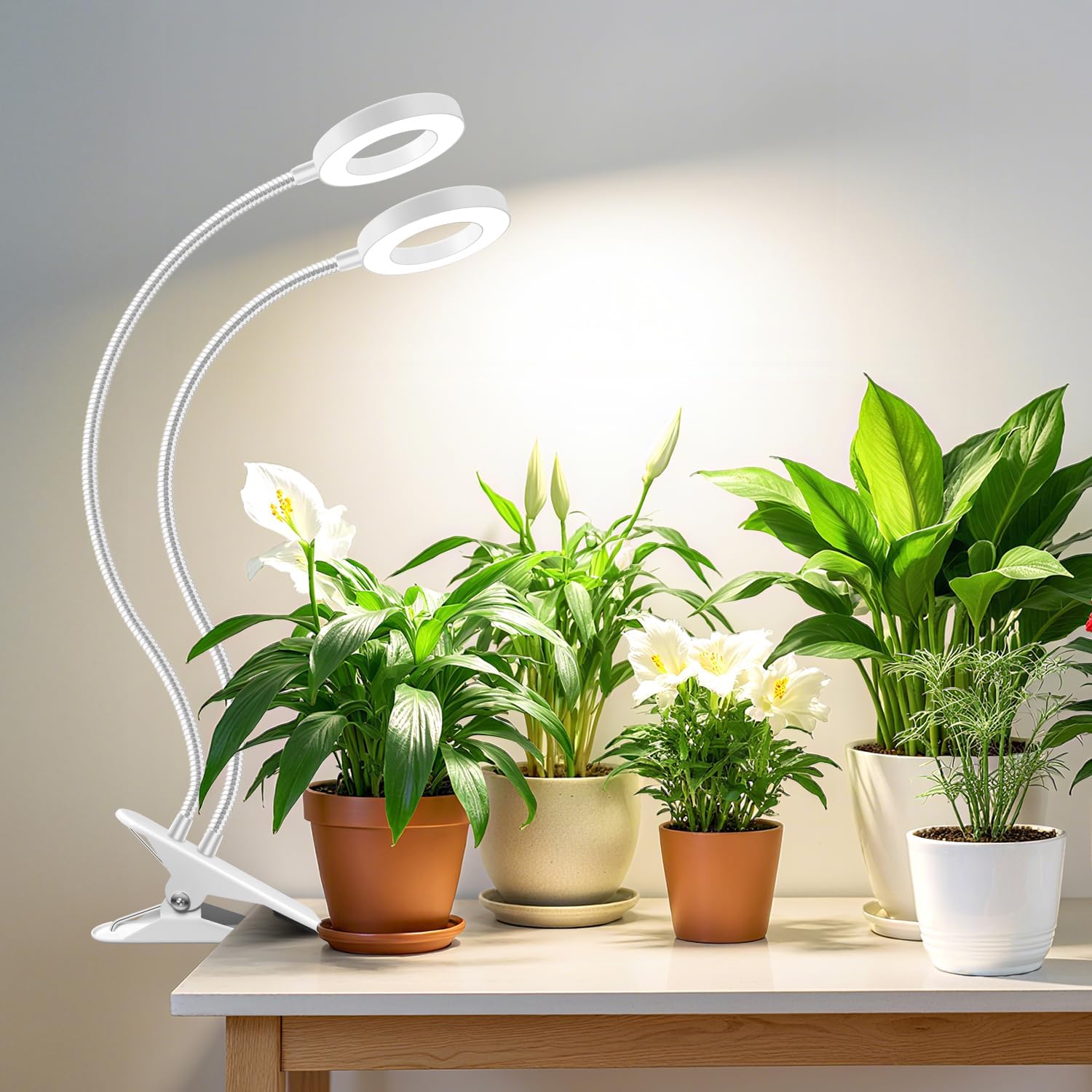 Wiaxulay Clip Grow Lights for Indoor Plants, 3.5in Full Spectrum 2 Heads | 96 LEDs Halo Plant Light 6000K+660nm, 360° Gooseneck Clip, 6/12/16H Timer, 5 Brightness,1 Pack for Seed Starting Hydroponics